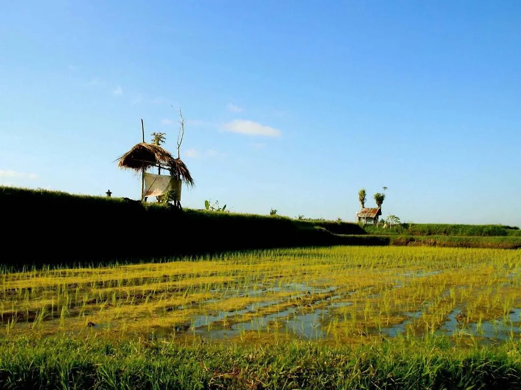 Omah Apik Hotel Ubud  4*, Ubud (Bali)