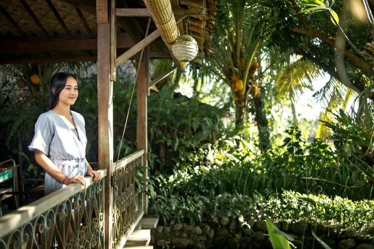 Omah Apik Hotel Ubud  Indonesia