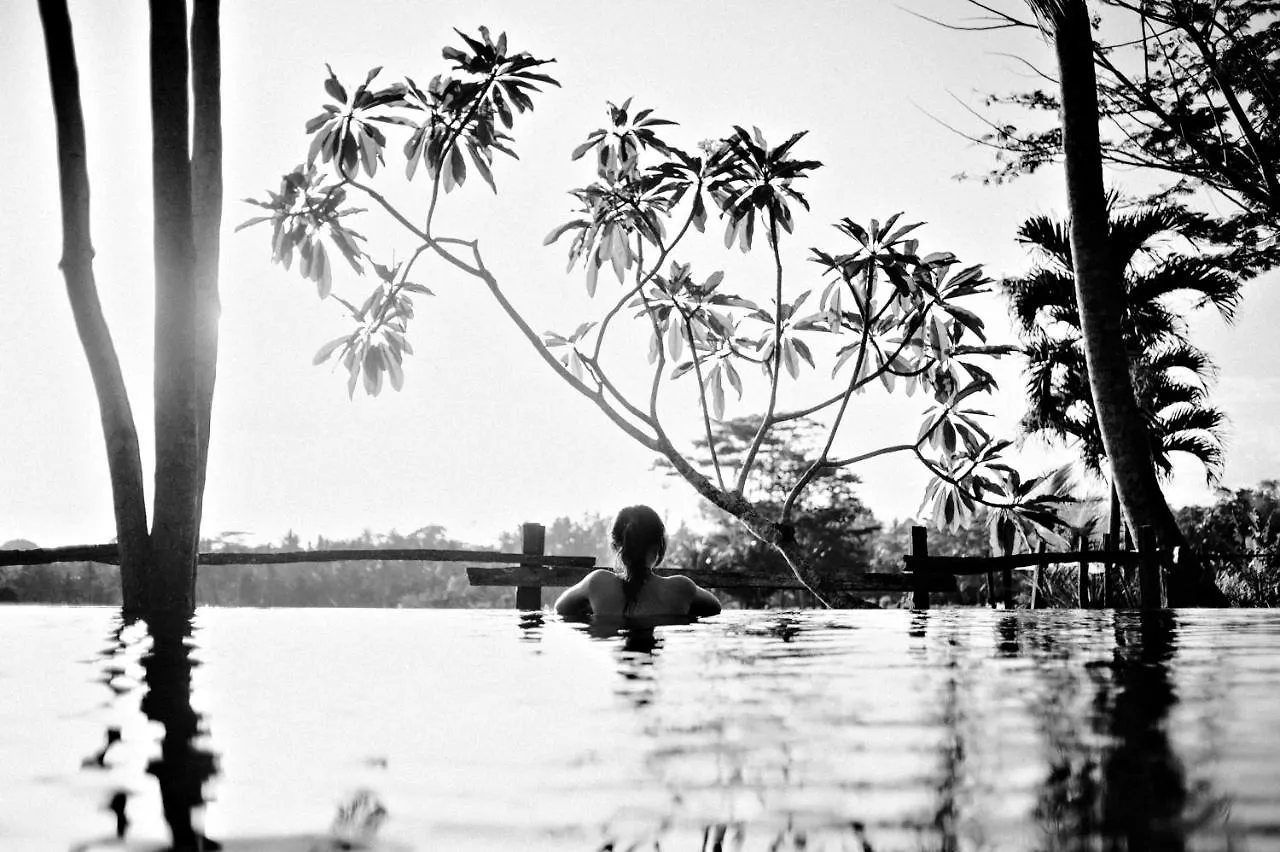 Omah Apik Hotel Ubud   Ubud (Bali)