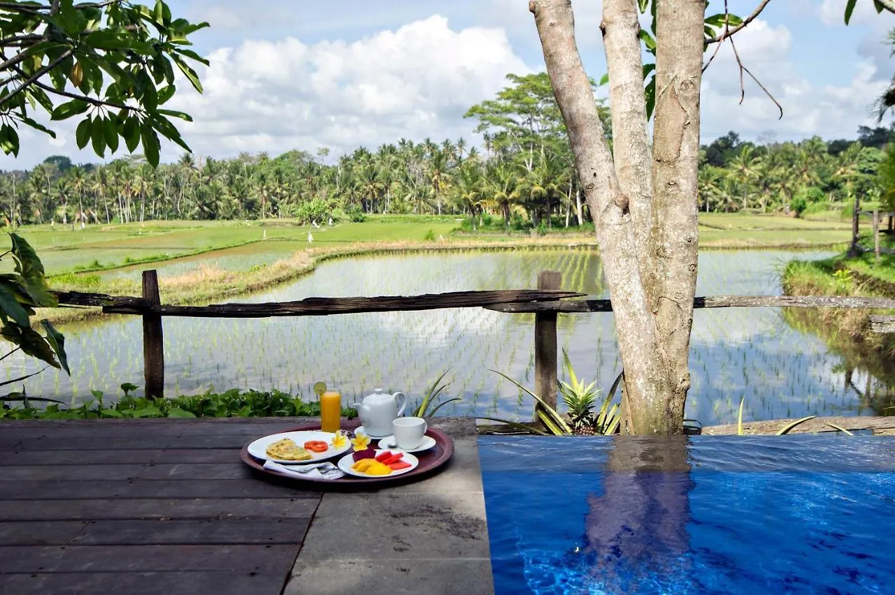 Omah Apik Hotel Ubud  Indonesia