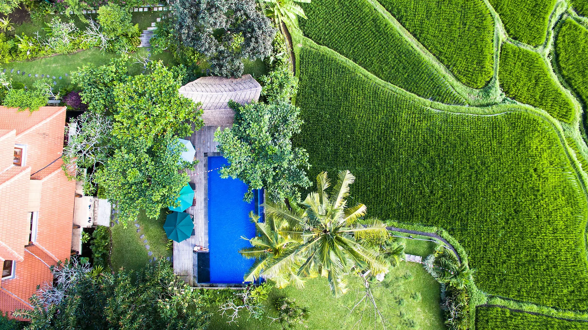 Omah Apik Hotel Ubud   Ubud (Bali)