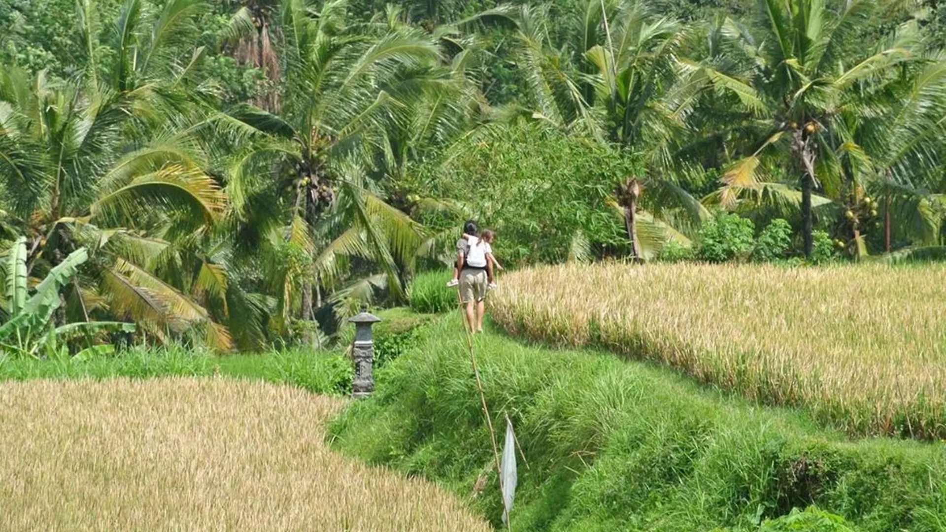 Omah Apik Hotel Ubud  4*, Ubud (Bali)